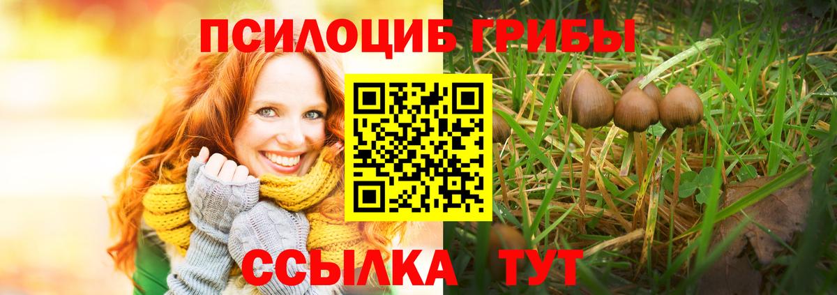 Псилоцибиновые грибы ЛСД  Вход с VPN  Псилоцибиновые грибы Psilocybine cubensis  Пушкино 