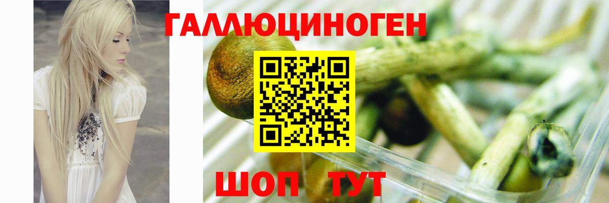 Бутират Пушкино